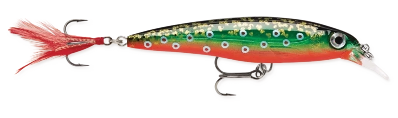 Rapala X-Rap XR-6 - 6cm - 4gr - (Slashbait/Suspending)