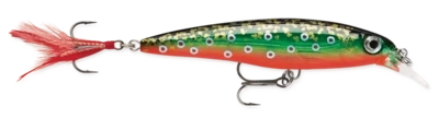 Rapala X-Rap XR-6 - 6cm - 4gr - (Slashbait/Suspending)