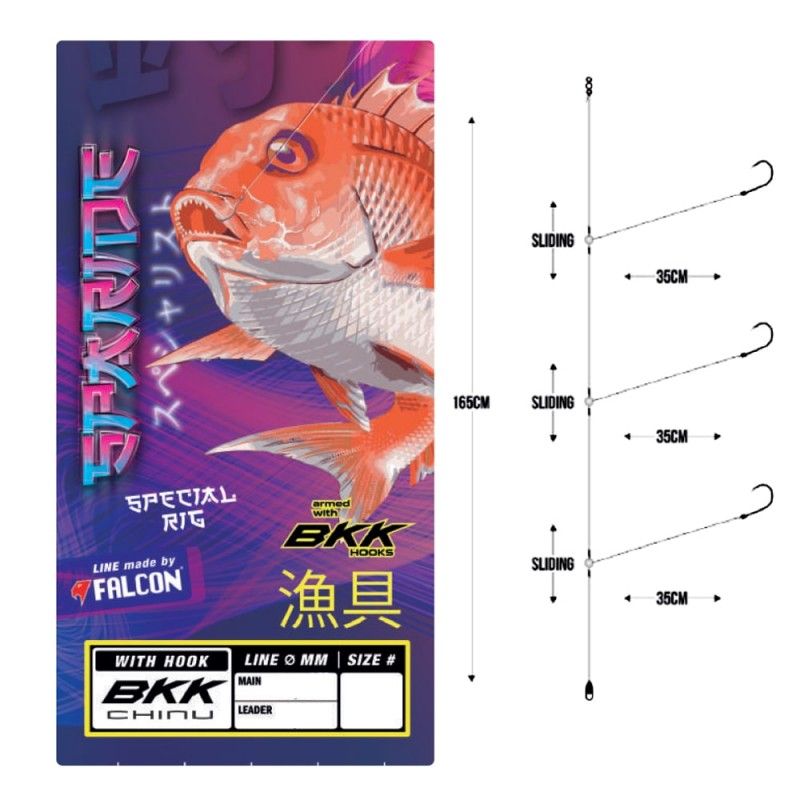 Terminale Jatsui Sparide