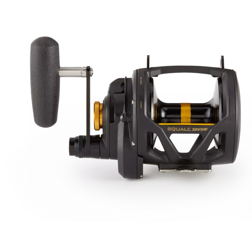 Penn Squall VS 2 Speed