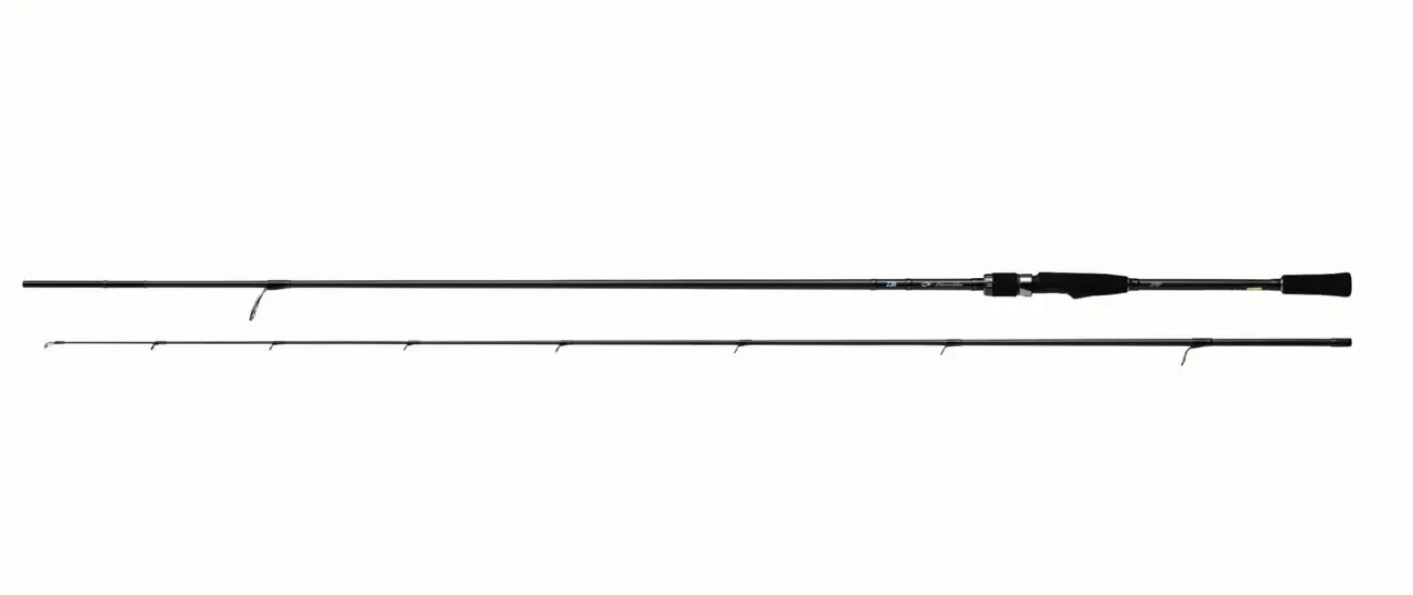 Daiwa 20 Emeraldas Air AGS