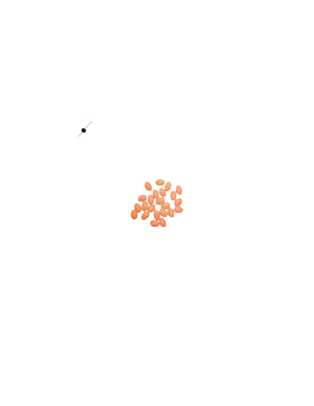 Sele Perline Salvanodo Red