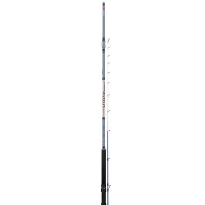 Colmic Intrepida (750gr)