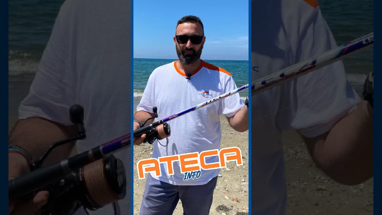 Colmic Ateca (30-130gr) 2 Carbon Typs (LH-MH)