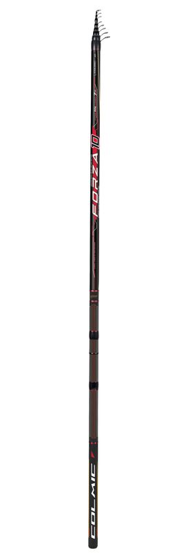 Colmic Forza 10 (80gr)