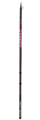 Colmic Forza 10 (80gr)