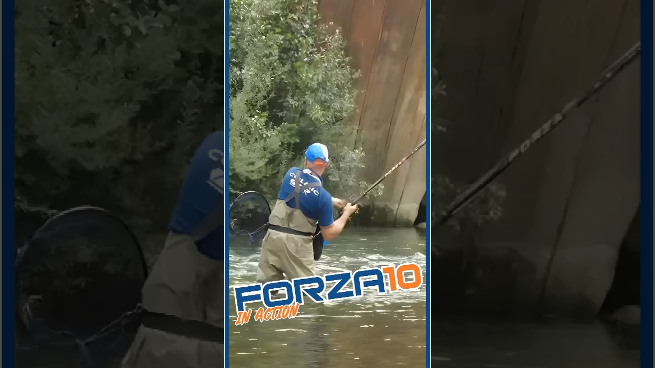 Colmic Forza 10 (80gr)