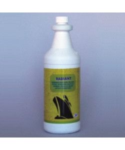 Zep Radiant 1L