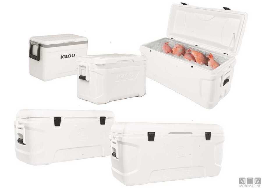 Ghiacciaie Igloo Marine