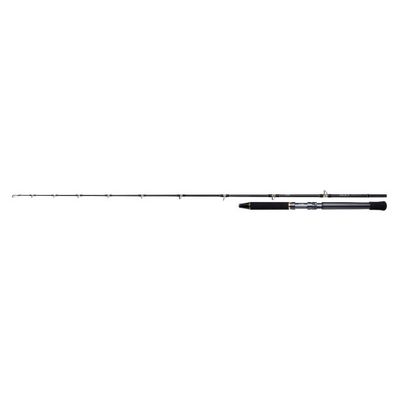 Shimano Talica Trolling Lite