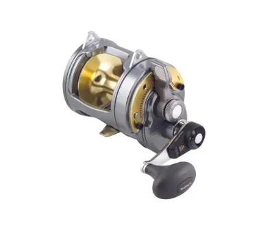 Shimano Tyrnos 2-Speed