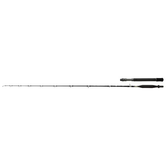 Shimano Tyrnos B Trolling Lite