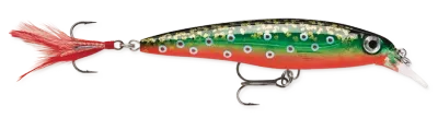 Rapala X-Rap XR-6 - 6cm - 4gr - (Slashbait/Suspending)