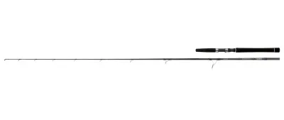 Daiwa Saltist Inshore