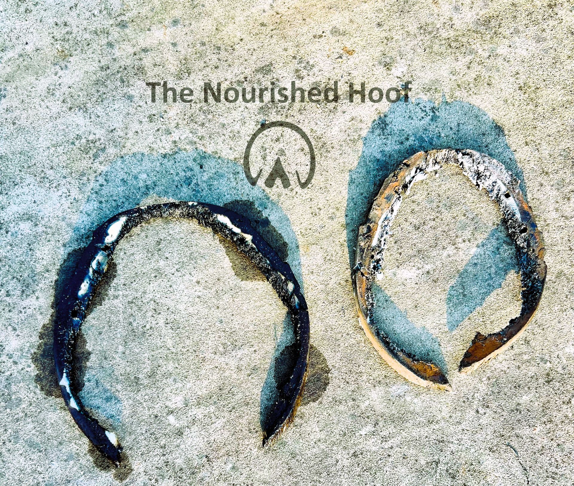 Farrier Finish Daily Hoof Dressing