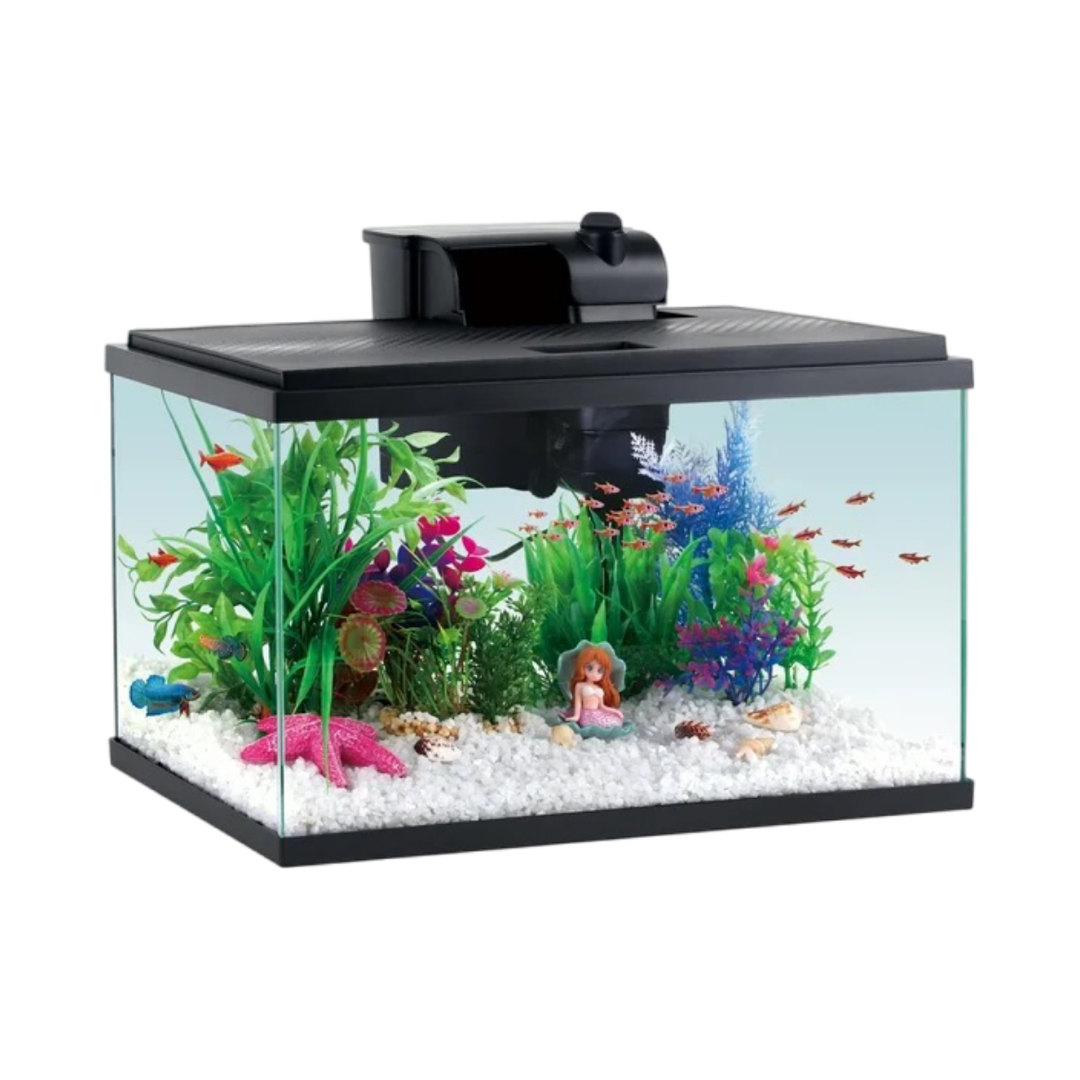 Aqua Culture 10-Gallon Glass Aquarium Starter Kit