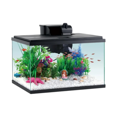 Aqua Culture 10-Gallon Glass Aquarium Starter Kit