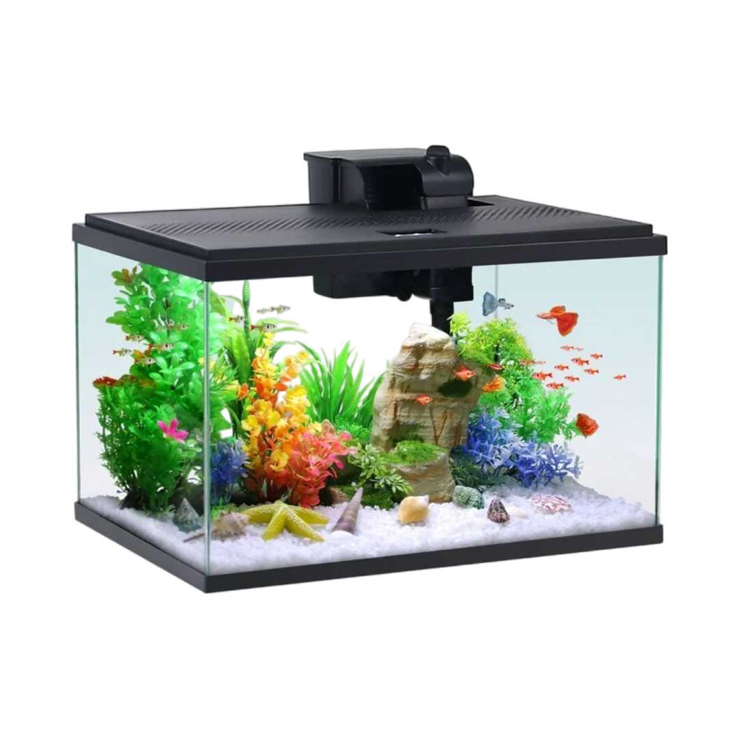 Aqua Culture 5G Glass Aquarium Starter Kit