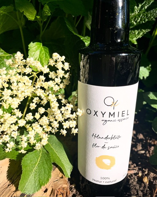 Holunderblüte Organic Essence 250ml