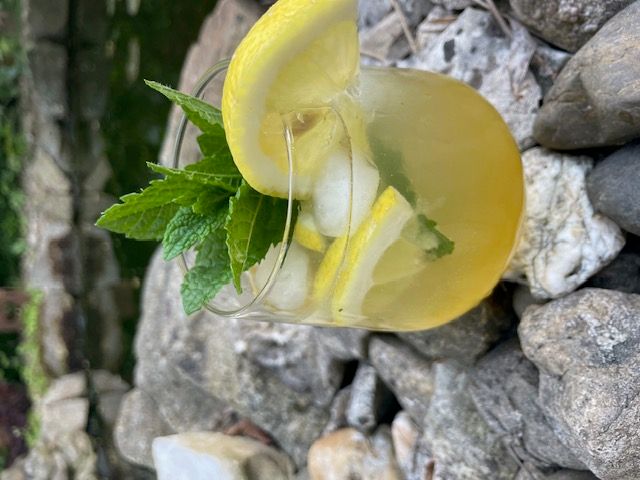 Kennenlern-Set - 5 x 100 ml