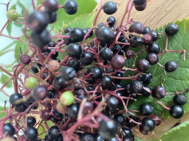 Beerenfrucht Organic Essence 100ml