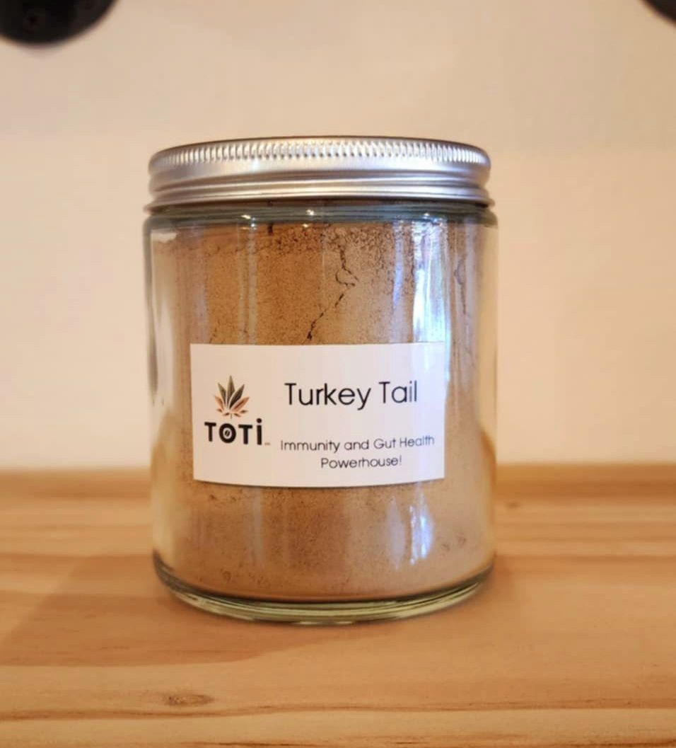 Turkey Tail Mushroom Powder Organic - 100g