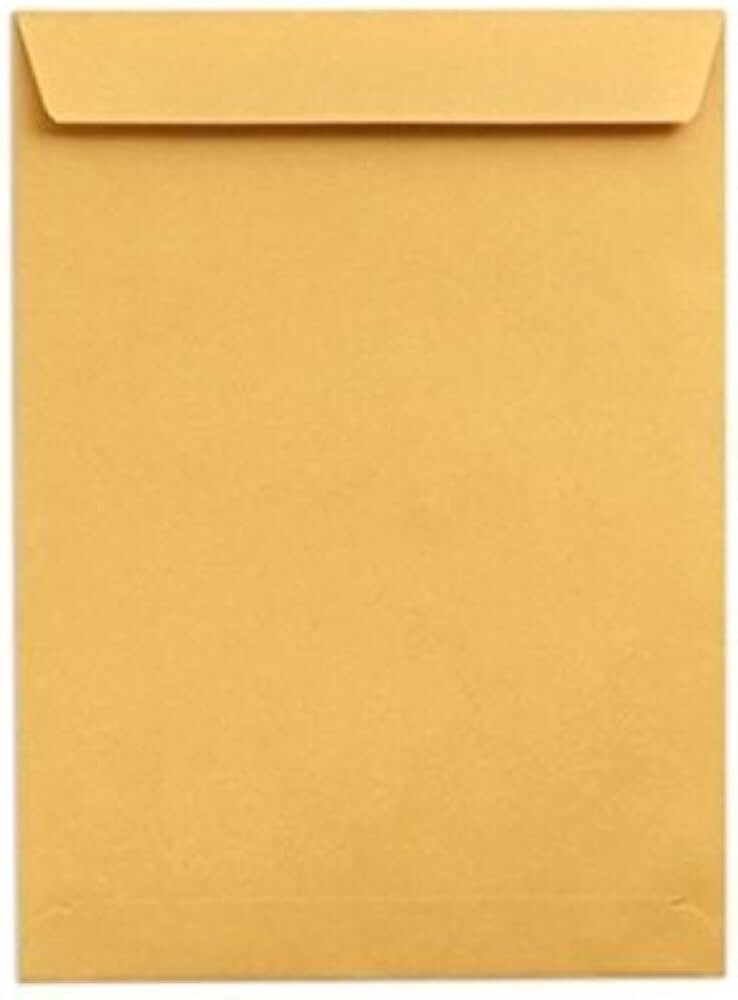 Envelope Brown (10" X 12")