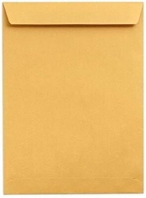 Envelope Brown (10" X 12")