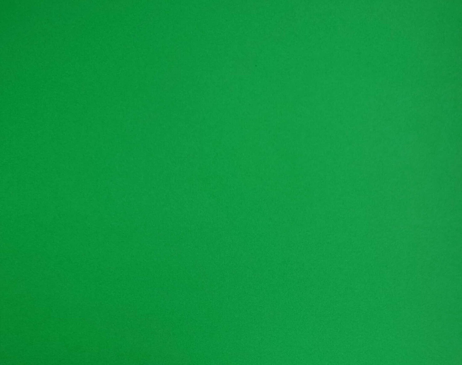 Bristol Board- Fern Green (23" X 35")