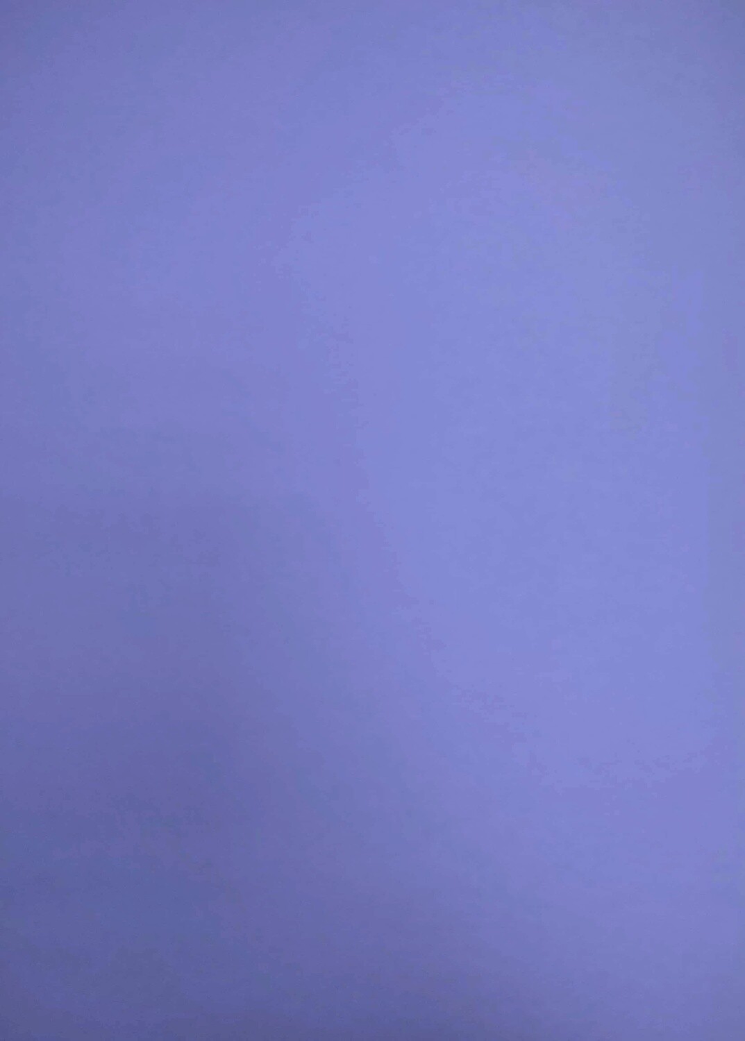 Bristol Board- Grape (22.5" X 28.5")