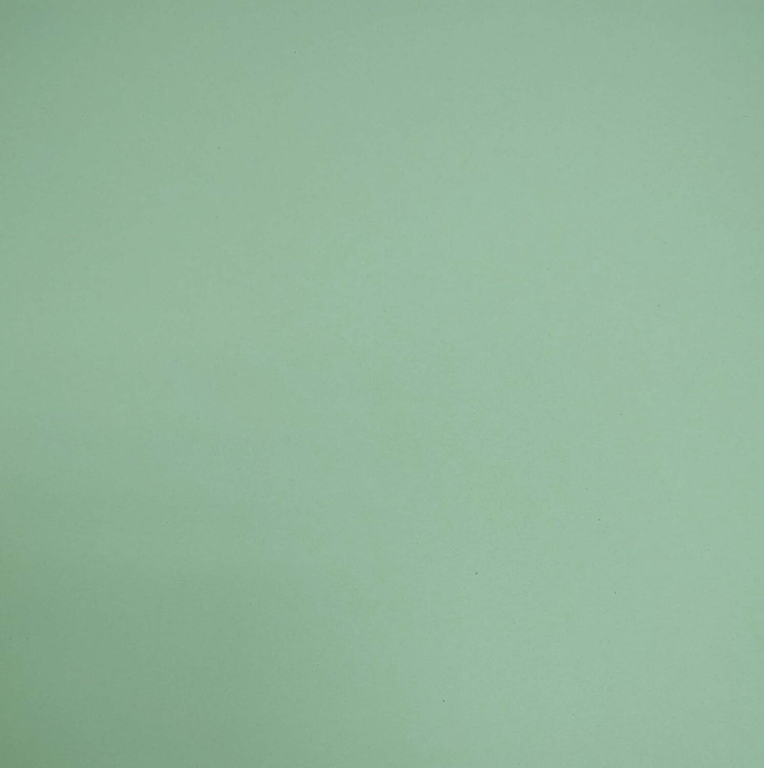 Bristol Board- Pastel Green (22.5" X 28.5")