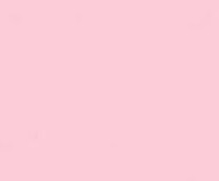 Sadipal Bristol Board- Rosa (19" X 25")