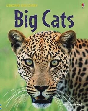 Big Cats Big Cats