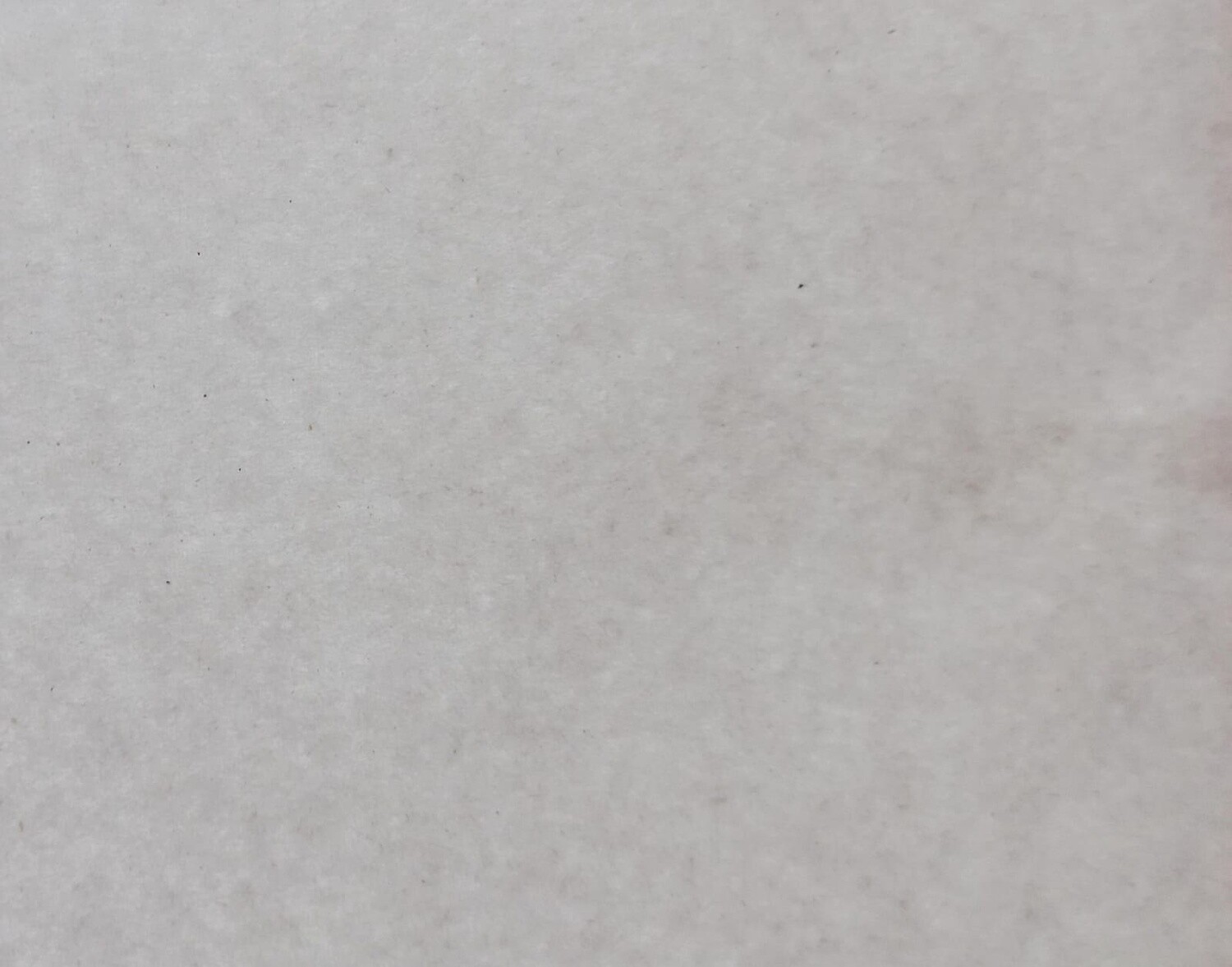 News Print Cream (8.5 X 11)