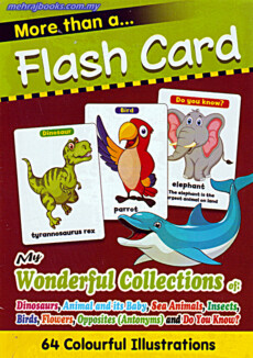 Flash Cards- My Wonderful Collection