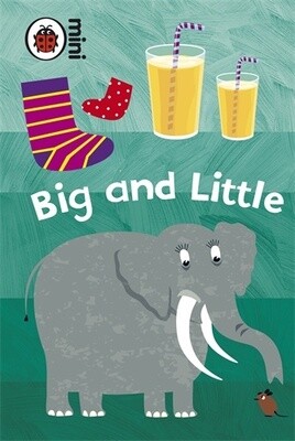 Mini Early Learning- Big and Little