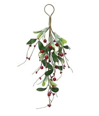 Mistletoe