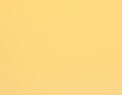 Bristol Sadipal- Ocre (19" X 25")