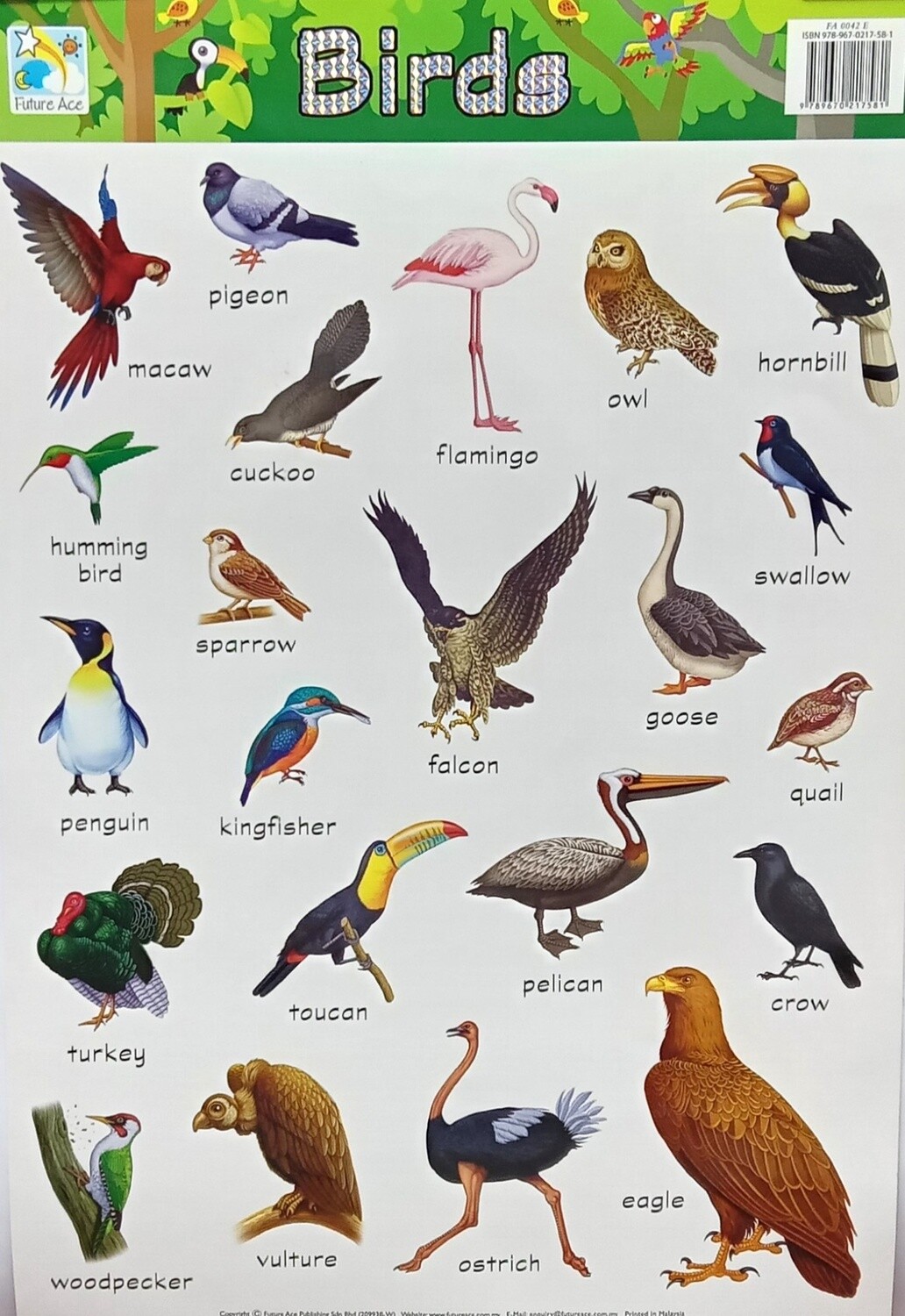 Chart- Birds