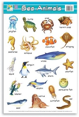 Chart- Sea Animals