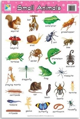 Chart- Small Animals