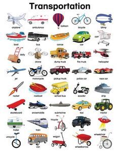 Chart- Transportation Chart- Transportation
