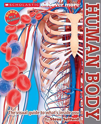 Human Body Human Body