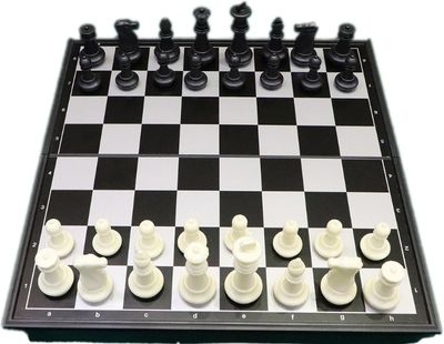 Magnetic Chess Game