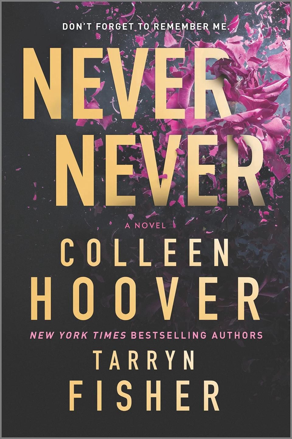 Never Never -  Colleen Hoover and Tarryn Fisher