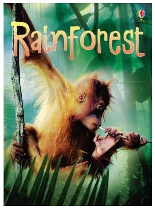 Rainforests