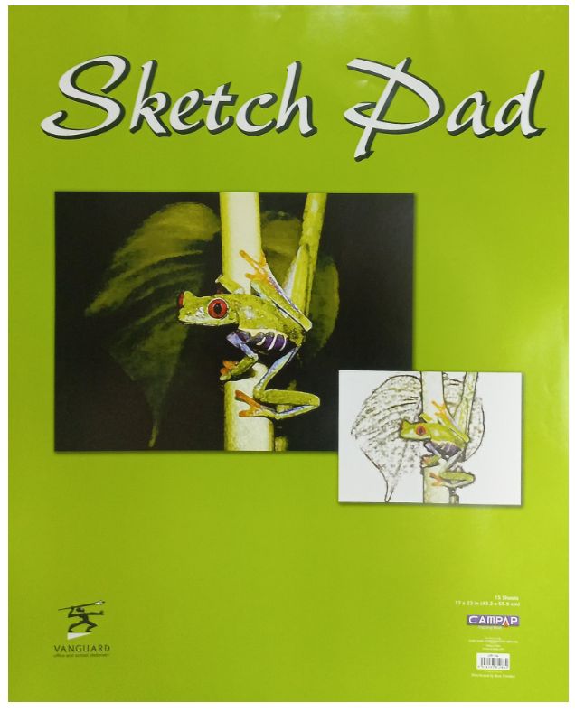 Sketch Pad (17" X 22")