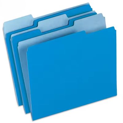 Manilla Folder- Letter (Blue)