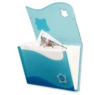 Foldermate Expanding File- 13 pockets