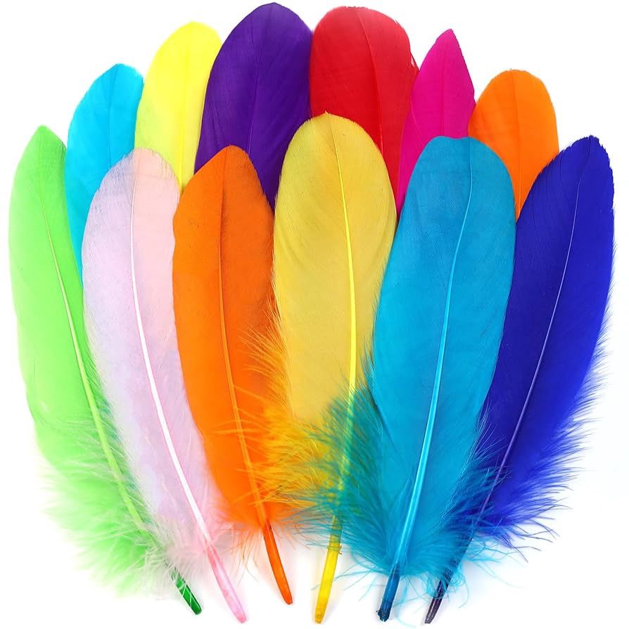 Feathers- Assorted Colours (Long)